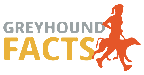 greyhound facts